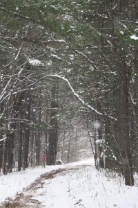 Winter trail covered in snow