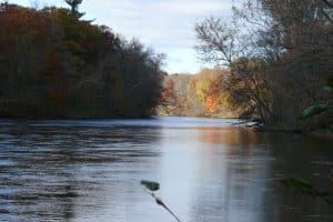 River view in fall
