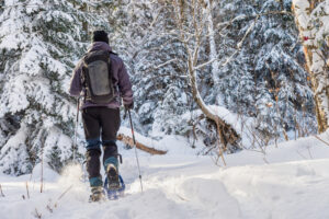 People walking on trail carrying snowshoes