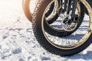 Fat tire bikes in the snow
