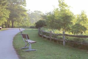 Benches next to paved trail