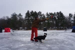Man and dog ice fishing