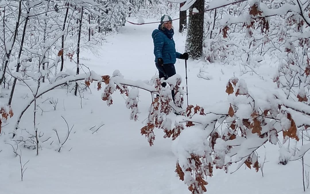 Traipsing Through the Winter Woods