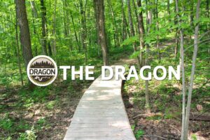 trail of the Dragon showing wooden boardwalk thru the woods