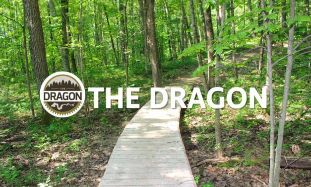 Michigan’s Dragon at Hardy Dam