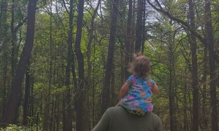 Family Adventures at Coolbough Natural Area