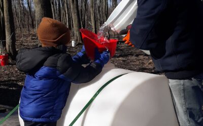 As the ice melts from Croton Pond, a new season drips into Newaygo County