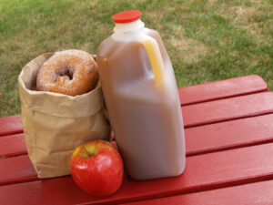 Cider and donuts on picnic table