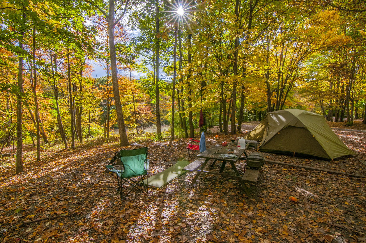fall campsite