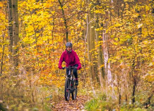 Biking on fall trails