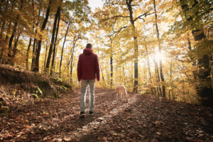 Guy with dog on fall hiking trail