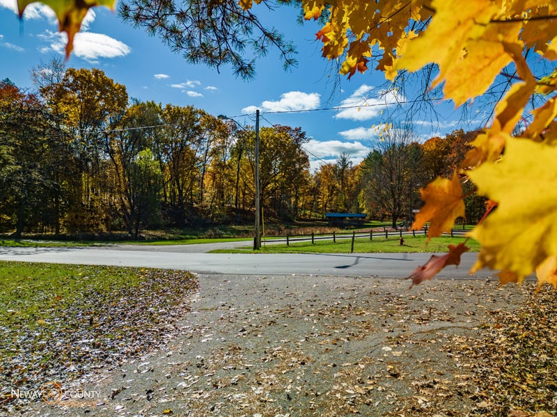 Branstrom park in fall
