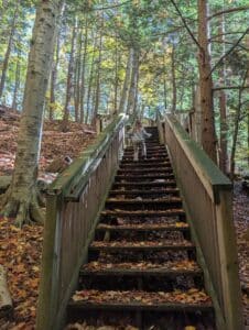 Stairs at Marshall Memorial Park